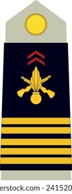 Shoulder pad military officer mark for the COLONEL insignia rank in the French Army