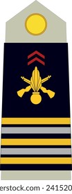 Shoulder pad military officer mark for the LIEUTENANT-COLONEL (LIEUTENANT COLONEL) insignia rank in the French Army