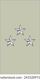 Shoulder pad military officer mark for the GÉNÉRAL DE DIVISION (DIVISIONAL GENERAL) insignia rank in the French Army