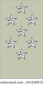 Shoulder pad military officer mark for the GÉNÉRAL D'ARMÉE (ARMY GENERAL) insignia rank in the French Army