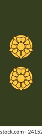 Shoulder pad military officer mark for the EVERSTILUUTNANTTI (LIEUTENANT COLONEL) insignia rank of the Finnish military ranks