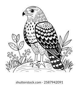 Shouldered hawk illustration in vintage style