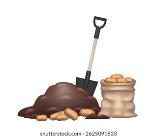 A shovel, a bag of potatoes and a garden bed. Vector illustration isolated on white background.