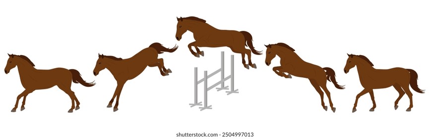 Show jumping, equestrian sports. Jumping horse in barrier. Vector illustration