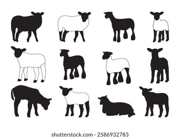 Show Lamb #2 Vector For Print, Show Lamb Clipart, Show Lamb vector Illustration