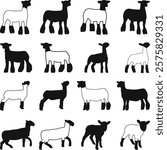 Show Lamb Bundle Vector, Market Lamb Icons Silhouette, Livestock Show SVG