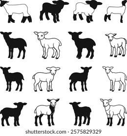 Show Lamb Bundle Vector, Market Lamb Icons Silhouette, Livestock Show SVG'', Show Sheep Illustration