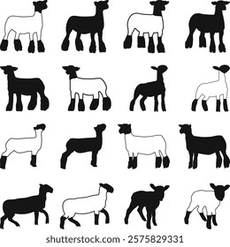 Show Lamb Bundle Vector, Market Lamb Icons Silhouette, Livestock Show SVG'', Show Sheep Illustration