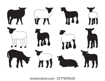 Show Lamb Vector For Print, Show Lamb Clipart, Show Lamb Vector Illustration