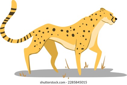 Show off your pride with this cheetah.  Everyone will love it!