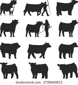 Show Steer Set Silhouette, Cattle Show Cow Silhouettes, Print Show Heifer, show heifer Vector, Livestock shows, beefmaster heifer, Ganado y agricultor Ilustración Colección