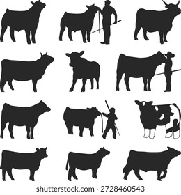 Show Steer Set Silhouette, Cattle Show Cow Silhouettes, Print Show Heifer, show heifer Vector, Livestock shows, beefmaster heifer, Ganado y agricultor Ilustración Colección