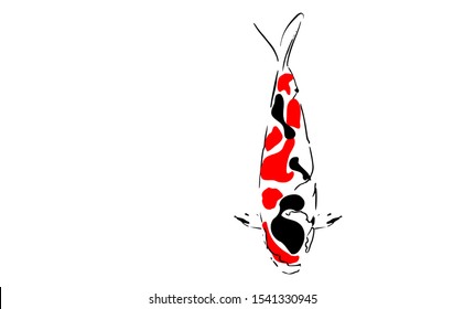 Showa koi fish drawing only described as a shadow, however when viewed will reflect a koi fish in japan. Koi fish japan transformed to simple koi fish painting vector.