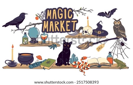 Showcase of a magic shop. Shelves with witchcraft and witchcraft goods, cauldron, grimoire, potion, elixir, skull, magic ball, and hat. Familiars for the sorcerer cat, snake, owl, toad, spider. Vector