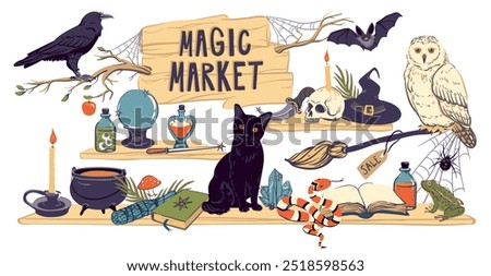 Showcase of a magic shop. Shelves with witchcraft and witchcraft goods, cauldron, grimoire, potion, elixir, skull, magic ball, and hat. Familiars for the sorcerer cat, snake, owl, toad, spider. Vector