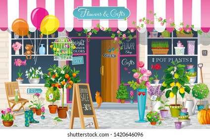 Showcase of an old little Flower Shop with a collection of the flowers, pot plants, citrus trees, garden tools. Vector drawing.