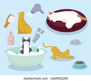 shower cute cat and pet icons items illustration set. tub, bubble, snack, nap, wash Vector drawing. Hand drawn style.