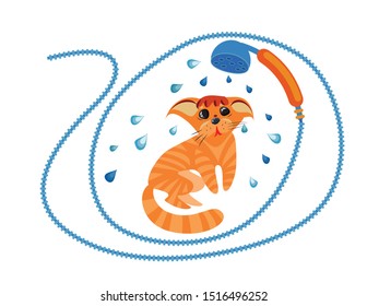 A shower head has surrounded a small, red, miserable kitten and is watering it with water. Funny picture for children and adults.   isolated image. Vector graphics