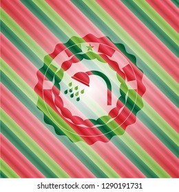 shower icon inside christmas badge.