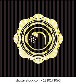 shower icon inside gold badge or emblem