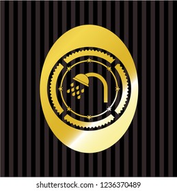shower icon inside gold shiny emblem