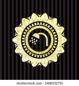 shower icon inside golden emblem