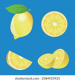 Showing the different cross sections of a lemon