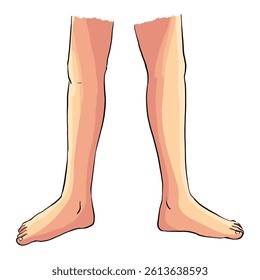 Showing human legs illustration vector