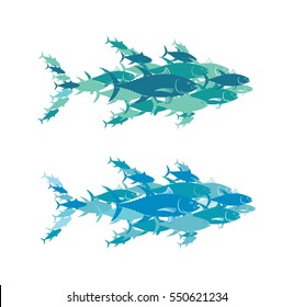 Shown fish tuna