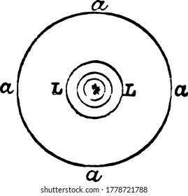 Shows that, part of the anterior hemisphere of rays intercepted and at once parallelized by the lens, L, whose principal focus is in the center of the flame, and the remainder is intercepted