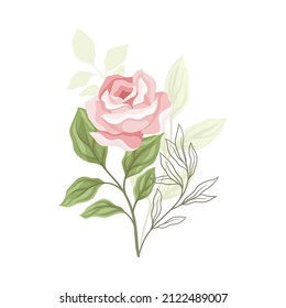 Showy Rose Flower on Leafy Stem as Garden Flora Closeup Vector Illustration