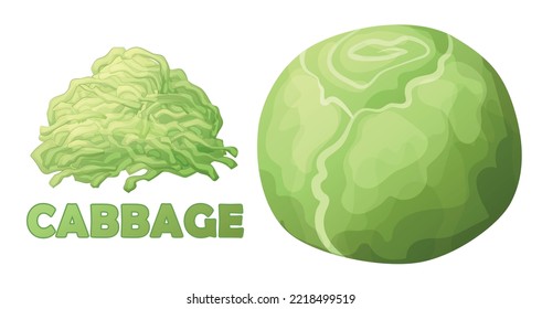 Shredded cabbage and whole vegetable vector icon isolated on white background. Fresh white cabbage cartoon illustration, sliced food ingredient, organic vegetarian product clipart