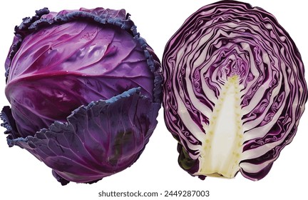 shredded purple cabbage on white background