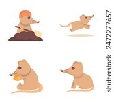 Shrew icons set cartoon vector. Long nose shrew mouse. Rare animal