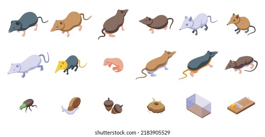 Shrew icons set isometric vector. Domestic agriculture. Farm mammal