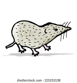 Shrew Illustration