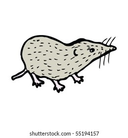 shrew illustration