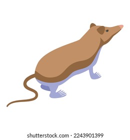 Shrew mammal icon isometric vector. Mouse animal. Nature farm