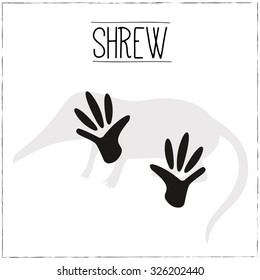 Shrew Silhouette with trails. Vector Illustration.