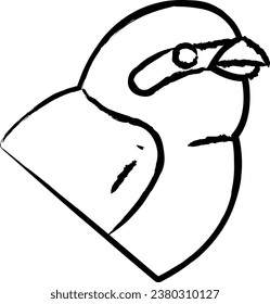 Ilustración vectorial de la mano de la ave shrike