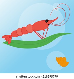 shrimp