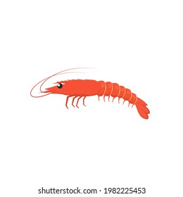 Shrimp. Animal shrimp, vector illustration