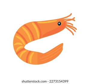shrimp aquatic animal icon isolated