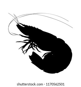 shrimp black silhouette