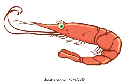 shrimp cartoon character