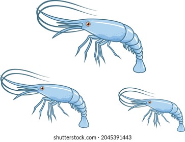 Shrimp cartoon illustrations vector art and illustration