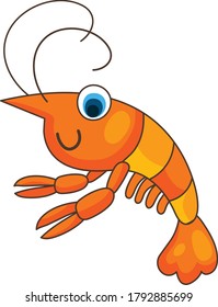 Shrimp cartoon vector art and illustration