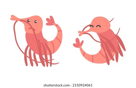 Shrimp Character as Aquatic Mammal with Funny Face Vector Illustration Set