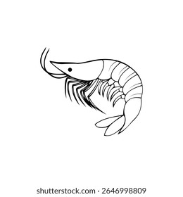 Shrimp clipart aquatic animals vector