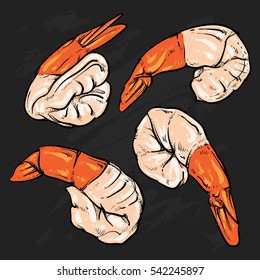 Shrimp cocktail drawing on a black background. Hand drawn seafood illustration. Prawn.